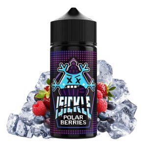 ISICKLE - Polar Berries Shortfill 100 mL